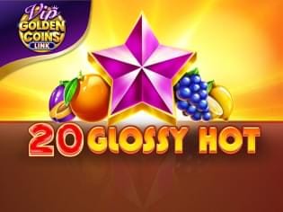 20 Glossy Hot Golden Coins Link VIP screenshot